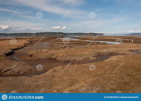 Nisqually River Estuary In The Billy Frank Jr Nisqually National