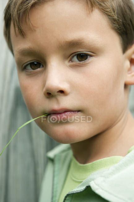 Portrait Of Little Boy Holding Blade Of Grass In Mouth — Vegetation