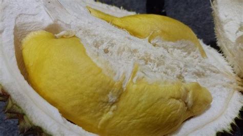 Putu Kembang Durian Lokal Pekalongan Bikin Juri Kontes Kaget Rasanya
