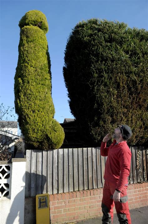 Man Crafts Huge 18ft Penis Shaped Tree In Front Garden In Bid To Make