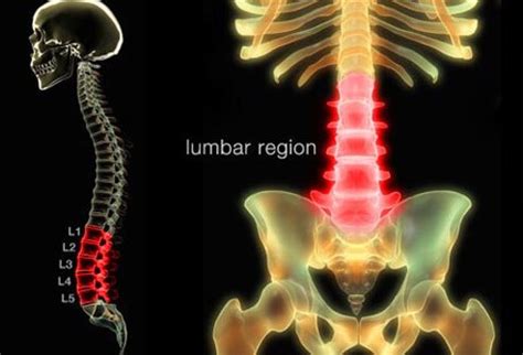 With a slipped disk in your lower back, you may have sharp pain in one part of the leg, hip, or buttocks, and numbness in other parts. Lower Back Pain: Symptoms, Stretches, Exercise for Pain Relief
