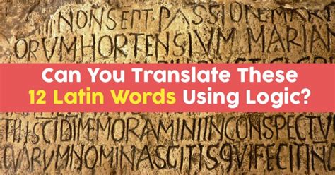 The first noun, puella 'girl,' is a singular noun in the nominative case, so it is the subject. Can You Translate These 12 Latin Words Using Logic? | QuizPug