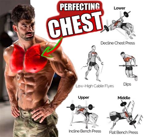 Pectoral Training Program For Chest Mass Rgymguide