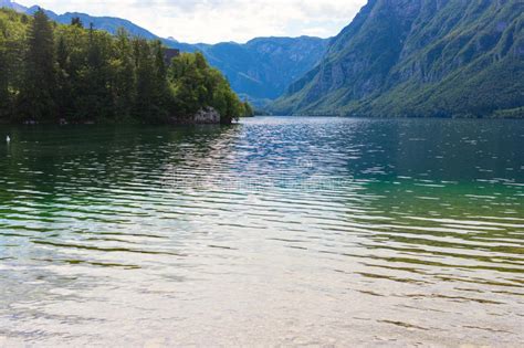 Mountain Lake In Summer Lake Bohinj Stock Image Image Of Lonely