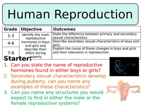 New Aqa Gcse Trilogy 2016 Biology Human Reproduction Teaching