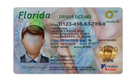 Drivers License Psd Template High Quality Photoshop Template