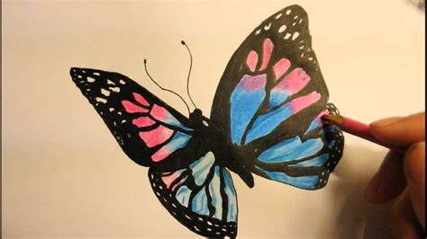 Pencil Drawing Of Butterfly