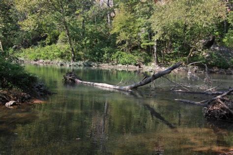The Wildcat Glades Conservation & Audubon Center (Joplin) - 2021 All