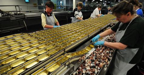 Canned Sardine Production Line Process Sardine Canned Fish Canned