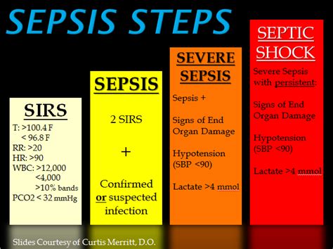 Mandell, douglas, and bennett's principles and practice of infectious. File:Sepsis Steps.png - Wikimedia Commons
