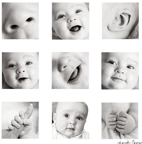 Baby Photo Collage Baby Photo Collages Baby Collage Baby