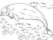 Select from 35870 printable crafts of cartoons, nature, animals, bible and many more. Bowhead Whale Coloring page | SuperColoring.com