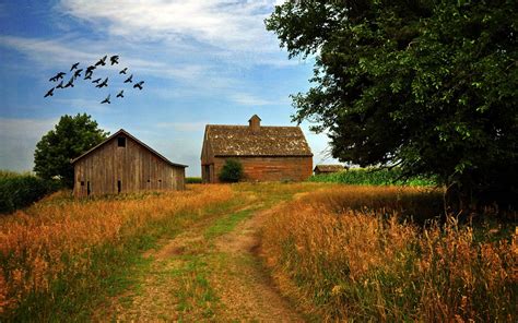 Download Farm Screensavers And Wallpaper By Brittneyg Farmhouse
