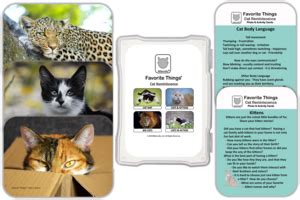 Reminiscence Therapy - Cat Collection Photo and Activity Cards | Activity cards, Therapy cat ...