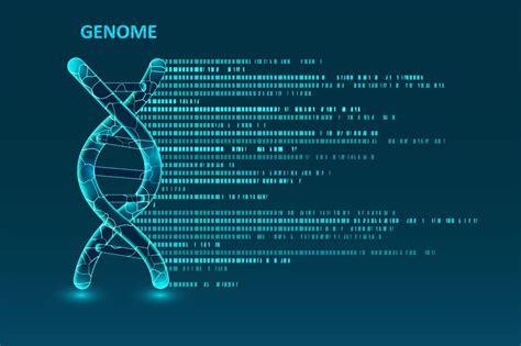 Role Of Whole Genome Sequencing Wgs In Diagnosing Rare Diseases
