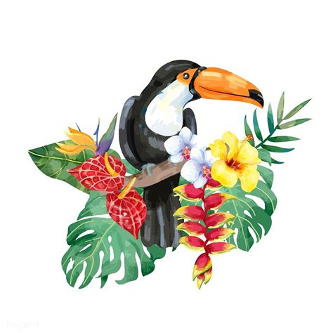 Download Premium Vector Of Hand Drawn Toucan Bird With Tropical Flowers