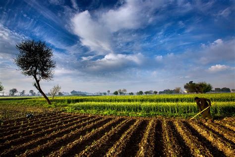 Agriculture Farm Landscape Nature Sky Countryside Pakistan Field