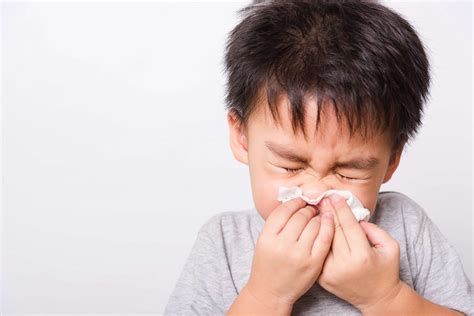 Allergies In Children What You Need To Know Sog Health Pte Ltd