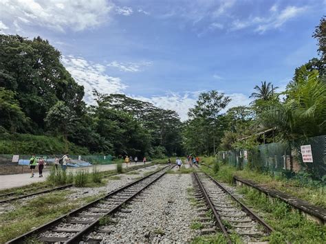 View of the valley from the green corridor trail image credit: Journeying into Clementi Forest with a Huawei Mate 40 Pro ...