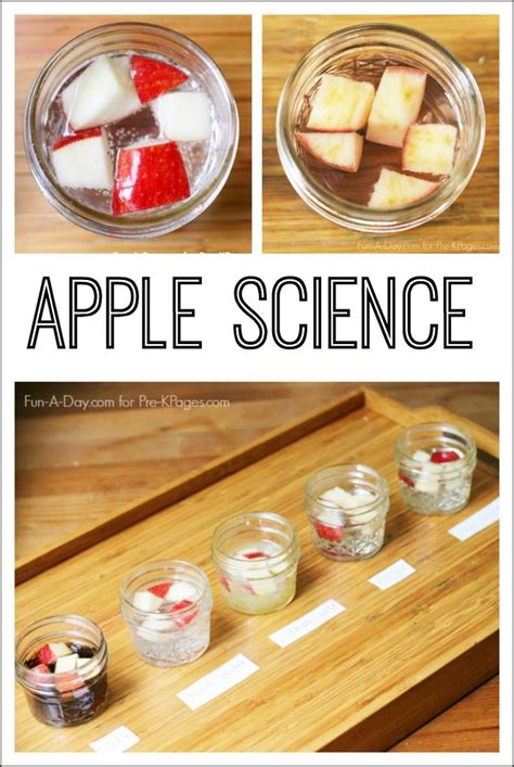 These easy science experiments use household products, food, and other items you probably have 47. Apple Science Experiment | PRESCHOOL APPLE THEME | Easy ...