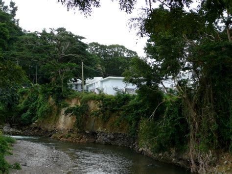 Roseau River Botanical Gardens Roseau Dominica