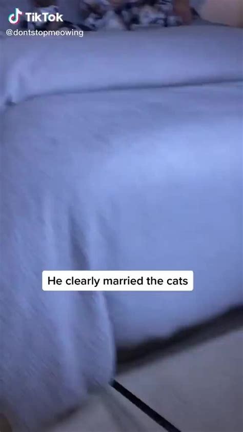 Tiktok Dontstopmeowing He Clearly Married The Cats