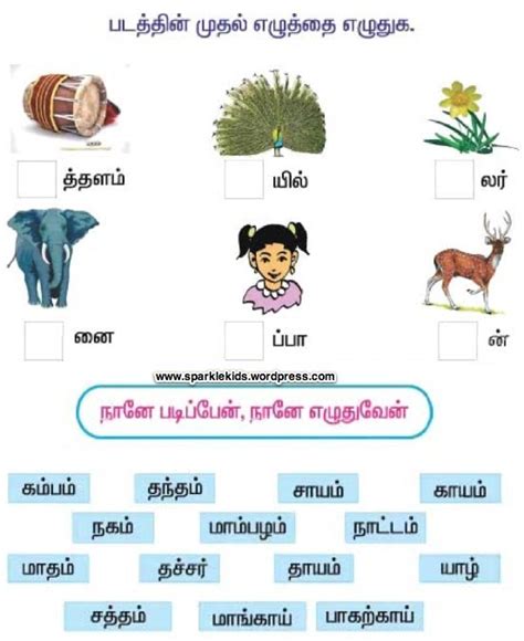 Tamil Year 3 Worksheet Tamil Year 3 Interactive Worksheet Sherryl