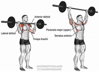 Press Barbell Overhead Guide Military Exercise Exercises