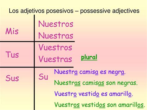 Ppt Los Adjetivos Posesivos Possessive Adjectives Powerpoint
