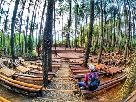 15 Tempat Wisata Di Hutan Pinus Mangunan Yogyakarta
