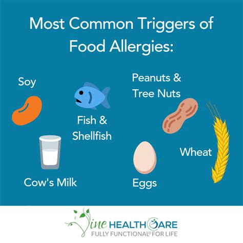 Dealing With Environmental And Food Allergies Effectively Allergies