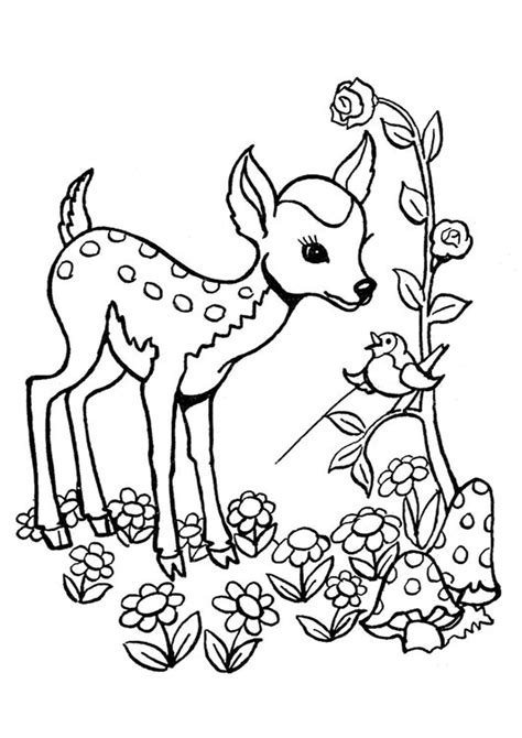 Free And Easy To Print Deer Coloring Pages Adult Coloring Pages