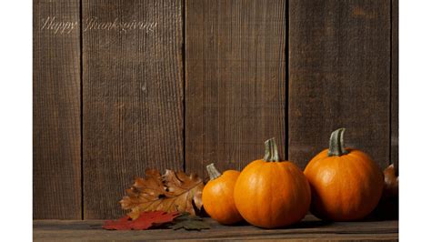 Pumpkin Thanksgiving 4k Wallpaper