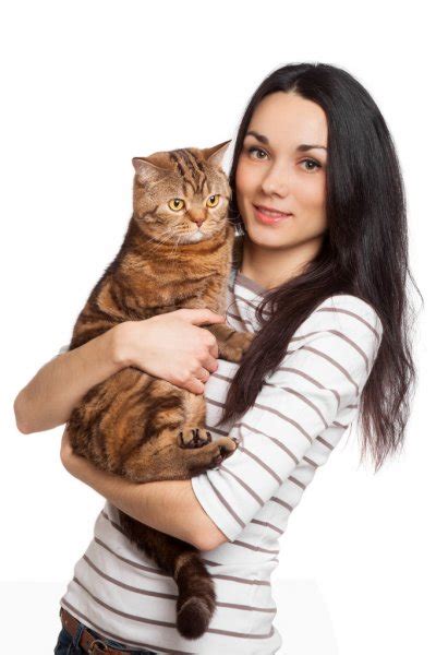Beautiful Smiling Brunette Girl And Her Ginger Cat Over White Ba Stock Photo Image By