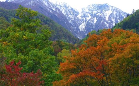 Mountains Japan Forest Nature Autumn Wallpapers Hd
