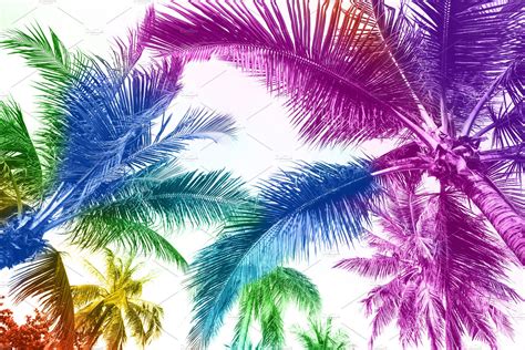 Rainbow Colored Palm Trees On White Nature Stock Photos ~ Creative Market