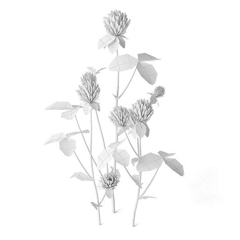Meadow Plant Clover 3d Model Cgtrader