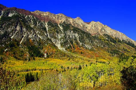 Beautiful 2010 Fall Colors In Little Cottonwood Canyon Photos