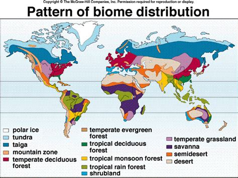 Climate Zones And Biomes