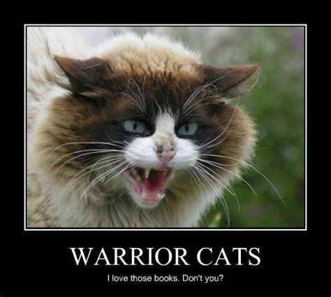 Why not consider graphic previously mentioned? Catch the Prodigious Warrior Cat Funny Memes - Hilarious ...