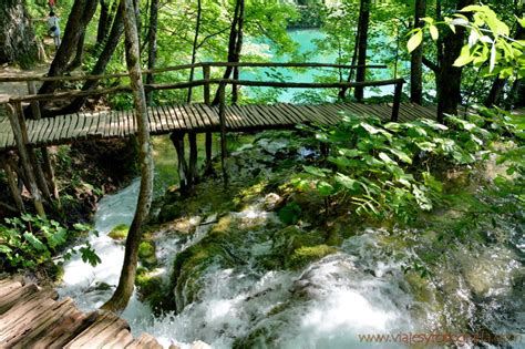 Lagos De Plitvice Un Para So De Aguas Verdes Y Celestes En Croacia