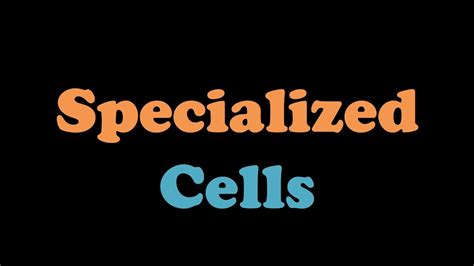 Animal cell contains membrane bound nucleus, it also contains other membrane bound cellular organelles. Specialized Cells - YouTube