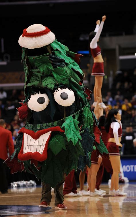 College Football 2011 The 10 Dumbest Ugliest Mascots In The Sport