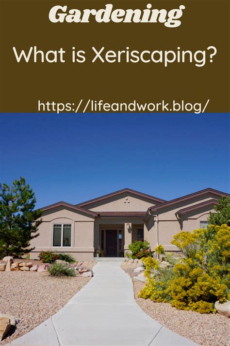 What Is Xeriscaping