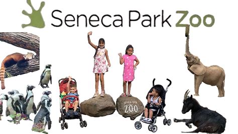 Seneca Park Zoo In Rochester New York Youtube