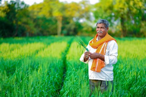 Indian Farmer Stock Photos Pictures And Royalty Free Images Istock