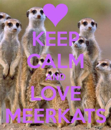 Keep Calm And Love Meerkats Poster Krystal Keep Calm O