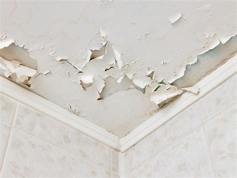 How To Fix Peeling Paint On A Ceiling In 4 Steps Tribble Painting