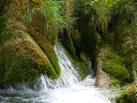 Hd Wallpaper Green Moss Waterfall Stream Nature River Forest