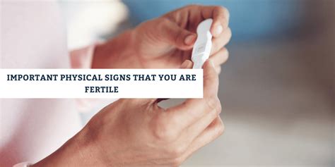 Important Physical Signs That You Are Fertile